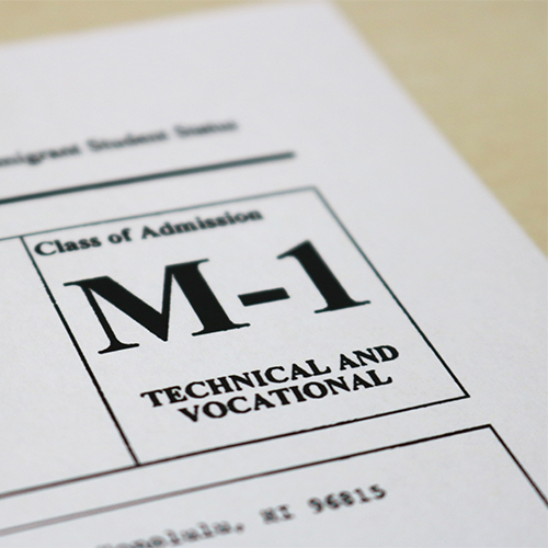 M-1ビザ(M-1 VISA)とは?